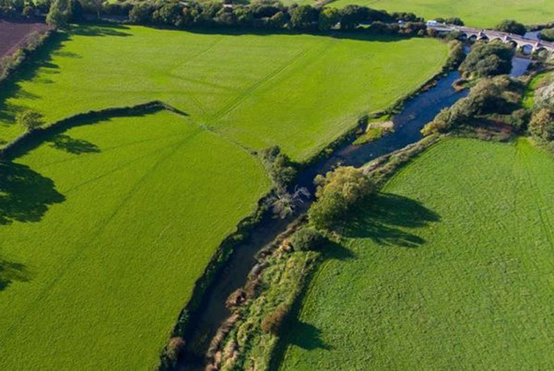 Merley Hall Farm - Field in Wimborne for Hire